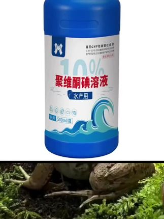 国标聚维酮碘溶液#水产养殖专用#源头厂家品质保证#聚维酮碘在水产养殖中的好处