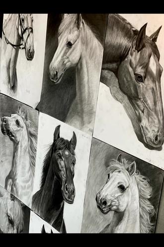 素描寒假主题【幸福加马特辑】🌺🌺🌺
本次以“画马”为核心的素描课程,不仅让学员掌握了素描的核心技法,更通过马这一充满力量与美感的主题,培养了学员的观察能力、造型能力与创作思维。马的形态复杂、动态多变,对素描基础要求较高,学员在攻克难点的过程中,不仅提升了绘画技能,更培养了耐心、细心与坚持的学习品质。
素描是一切造型艺术的基础,本次结课不是终点,而是新的起点。希望学员们能将课程中所学的技法与思维运用到后续的绘画学习中,继续坚持练习,多观察、多思考,在艺术之路上稳步前行。同时,也期待在未来的课程中,继续带领大家不断突破自我,提升艺术专业素养!#零基础学画画 #以梦为马不负韶华 #谁还没个隐藏技能