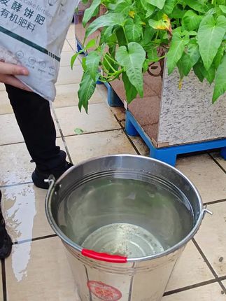 饼肥水好用大家都知道 #饼肥 #种菜施肥技巧