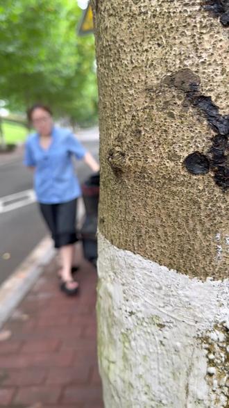 长安空调滤芯空气滤芯如何更换#肖师傅空调滤芯 ,unit更换教程 #长安univ #cs75 #cs55plus #逸动 #X5plus #X7plus