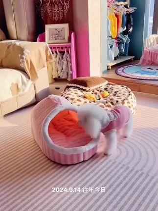 #狗窝 #保暖狗窝 #猫窝 #宠物窝