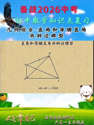 初中几何-直角和等腰直角共斜边模型#初中数学 #初中数学知识点 #初中几何 #初三复习 #中考复习