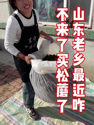 咱们山东老乡最近咋不来光顾咱们的小店了,要中秋节了快点买松菇 #松菇炖小鸡 #松蘑炖鸡 #粘蛾子 #粘团子 #黑蘑菇