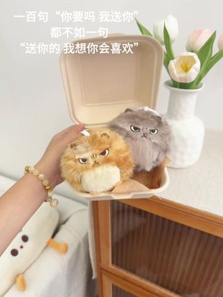 送你的,希望你会喜欢 #毛绒玩具 #挂件 #毛绒公仔 #送礼 #礼物