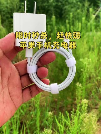 #苹果数据线 #苹果快充#数据线 #快充