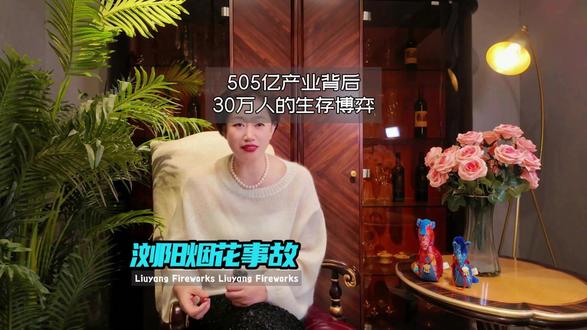 从事故到生存:浏阳烟花505亿产值下的30万人抉择#浏阳烟花厂爆炸已致37死1失联 #蓝言社