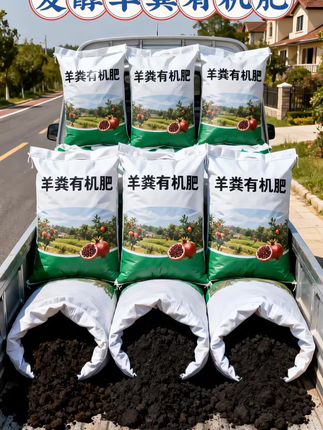 养花种菜星人必备! 以前养花,不是黄叶就是不开花,种菜也是产量低。后来听老花友建议用了羊粪有机肥,简直打开新世界大门! 它肥力超持久,营养丰富,能让土壤疏松透气不板结,还能促进微生物繁殖,增强土壤肥力 。 自从用了它,花蹭蹭冒花苞,蔬菜长得又大又多。有养羊的农户还能节省种植成本,真的太香啦! #羊粪有机肥 #养花神器 #种菜必备