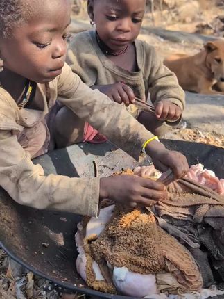 #非洲生活 #哈扎比人 #哈扎比部落美食