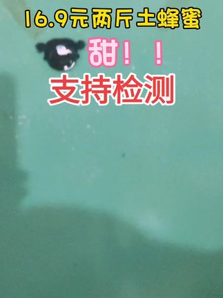 16.9元两斤土蜂蜜,支持检测!!#蜂蜜#土蜂蜜#