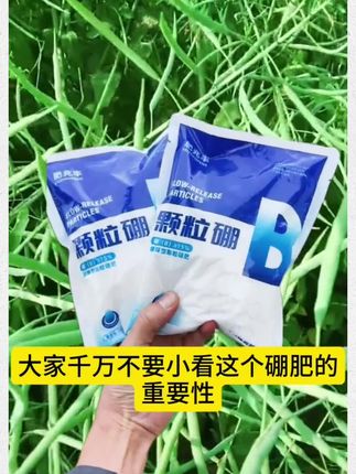 【热卖大包装】颗粒硼 油菜专用花生小麦瓜果蔬菜柑橘葡萄颗粒硼肥