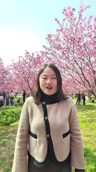 春日赏樱花~全椒马厂绝对是首选 #樱花 #马厂樱桃#2026马厂樱花季 @马小墩