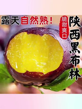 #三农种植 陕西黑布林李子酸甜孕妇新鲜水果黑布朗大果恐龙蛋#口感特别好 #新鲜采摘 #优质农产品 #美食