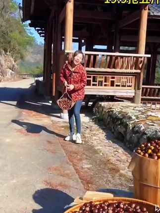 【卖3斤送2斤】新鲜现摘高山板栗当季生栗子难剥皮整箱产地直发#板栗 #栗子 #优质农产品 #新鲜现摘