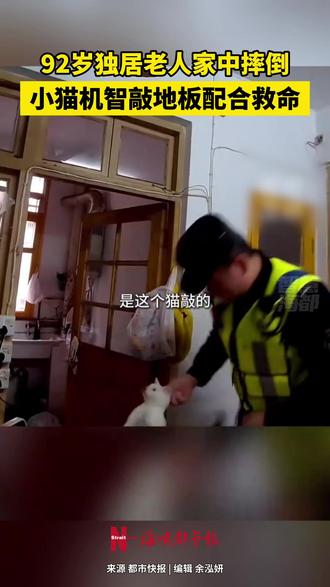 92岁独居老人家中摔倒,小猫机智敲地板救命#小猫