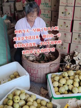 #我的夏日凉感必买清单 #文明黄金奈李 #水果 #李子