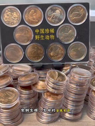 明月共珍栖,珍稀野生动物紫铜纪念币礼盒:共筑生命长城的中秋团圆礼#动物 #中秋礼物 #纪念币 #收藏钱币 #硬币收藏