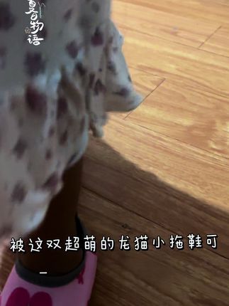 #沙滩鞋#踩水鞋