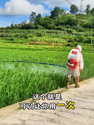 #水稻种植 #三农 #水稻病虫害防治