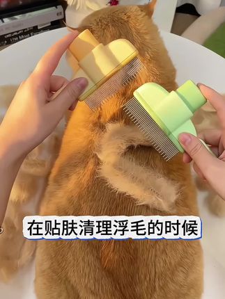 猫饼梳和小排梳的结合就是这新一代猫条梳,就这样一梳一按,浮毛就都下来了#浮毛梳 #猫条梳 #猫梳子 #梳毛 #新手养猫