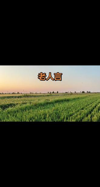 寂寞不敲寡妇门,有钱莫进赌徒屋。吃饭中途不换碗,带病带伤不上坟。好猫不敌鱼引诱,人不深交看不透。莫笑他人穿破衣,十年河东转河西。贫在闹市无人问,富在深山有远亲。不信但看宴中酒,杯杯先敬有钱人。娶妻就怕伏魔弟,嫁男不嫁钓鱼男。出门不与妻同欢,女婿不上戚家坟。#人生感悟#情感共鸣#老人言#农村生活#夕阳下的麦田