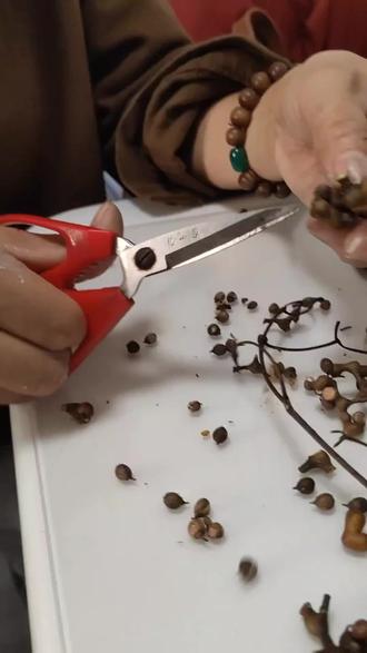 沉浸式处理拐枣#大自然的馈赠