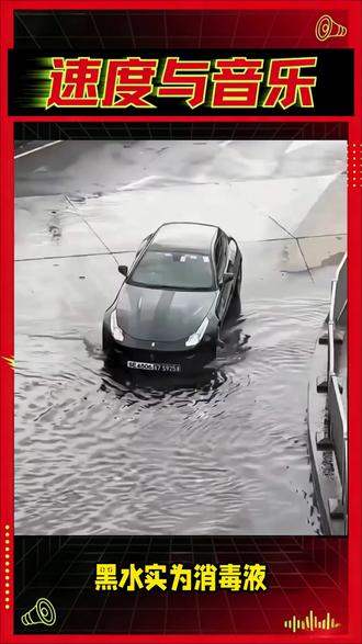 港澳豪车入境深圳湾必碾黑水?#深圳湾口岸入境 #港澳豪车入境