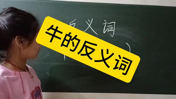 你们想到牛的反义词是什么呢?#一起学习