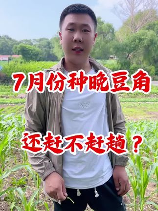 -#豆角#豆角种子