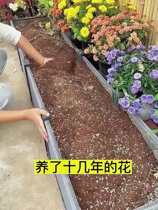 #种植小技巧 #农业种植 #三农 #三农种植 #营养土