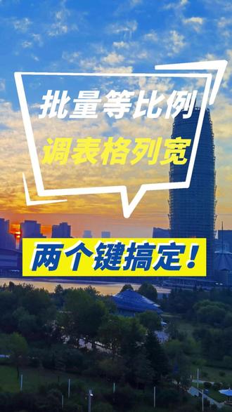 批量等比例调列宽?按住这两个键就搞定!#职场干货#表格技巧#投标人