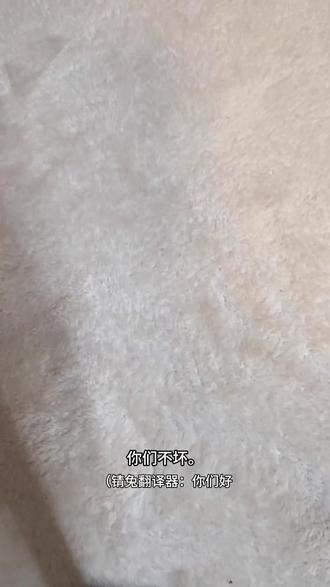 全是友情向哦#鬼灭之刃#ooc致歉 #抽象 #娱乐