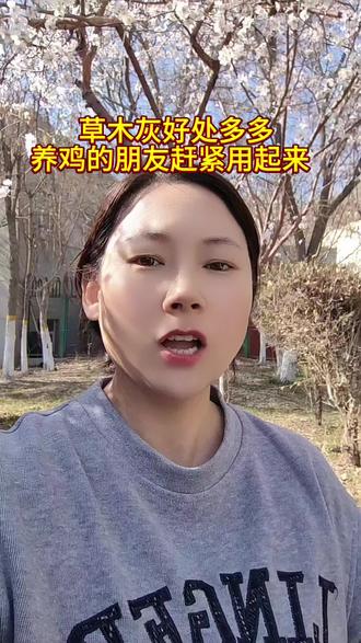 草木灰好处多多
散养鸡的朋友赶紧用起来吧
#散养鸡#土鸡养殖 #跑山鸡山林散养 #土鸡养殖