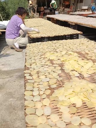 晒洋芋片片, #家乡特产 #纯天然绿色食品