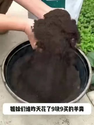 宝宝特别爱笑是高智商的表现,长大后大多会更加聪明,笑对于婴儿的大脑发育是一种良性刺激,所以父母要多逗孩子笑#宝宝的笑容也太治愈了 #爱笑的宝宝惹人爱 #萌娃#宝爸宝妈 #人类幼崽