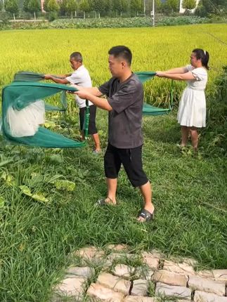 放入饵料,鱼虾乖乖进入#我的乡村生活#农村户外#农村抓鱼的乐趣