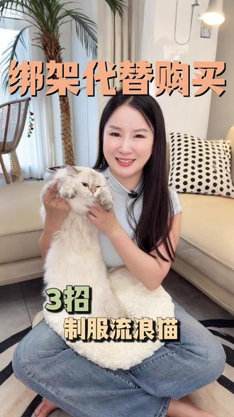 简单3步,教你轻松绑走流浪猫#养猫经验分享#流浪猫#猫咪