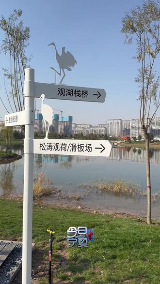 宁苗集团打造的银川大碱湖海棉湿地公园对外开放啦