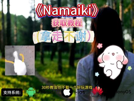《加龙宝库》Namaiki安装教程来了#Namaiki#游戏日常#单机游戏 #steam游戏