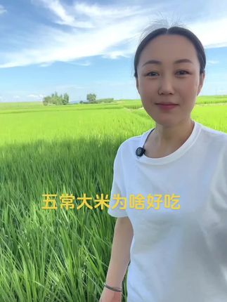 #五常大米为啥好吃#黑土地#大河水#一年一季水稻 #