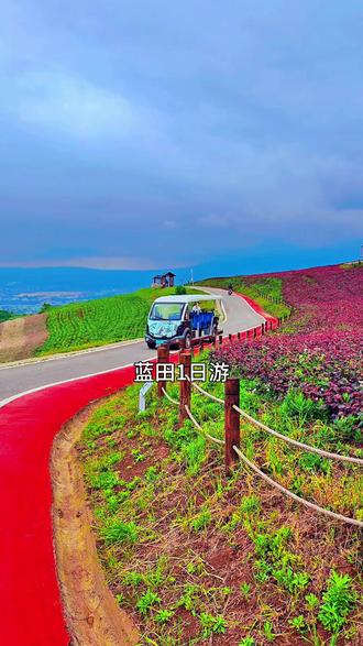 蓝田1日游,从西安出发,第一站蓝田荞麦花海。 #旅游 #蓝田 #水陆庵 #荞麦花海 #西安