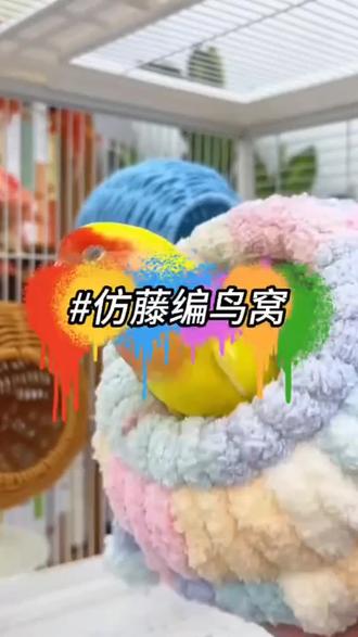 仿编藤鸟窝鹦鹉窝藤条吊窝耐咬夏季四季通用鸟悬挂窝#鹦鹉鸟窝#藤编鸟窝#夏季鸟窝#好物分享