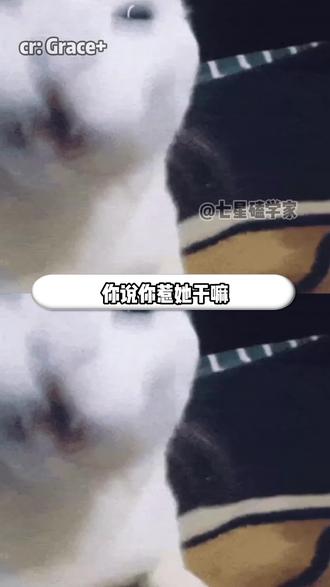 一句《你懂英语吗》直接踢到钢板了(cr:素材来源 Grace+)#打脸#爽文#英专生#教材