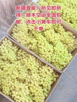 新鲜采摘的葡萄又到货了,现摘现发所见即所得,新疆顺丰空运直发,不是新疆直发不要钱!#白马奶葡萄  #无核白葡萄 #玻璃翠葡萄 #蟠桃 #蓝宝石葡萄