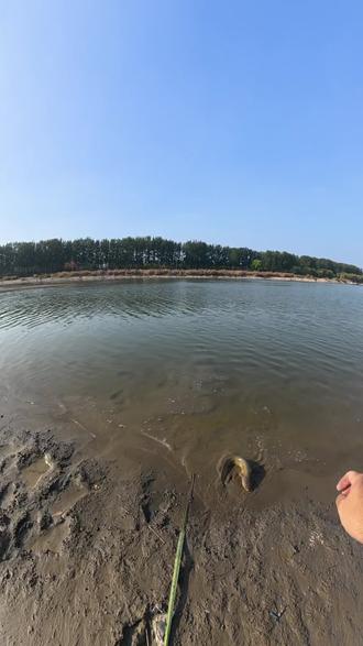 #路亚钓鱼 请看我徒手抓鱼