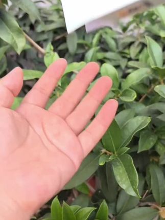想要夏日逆袭的姐妹,#澳兰黛 这款防晒现在就得用起来了,孕妇可用超安心,关键这个价格太合适了涂全身都不心疼~#防晒 #夏季必备 #超便宜超划算 #孕妇防晒@DOU+小助手 @DOU+好生意
