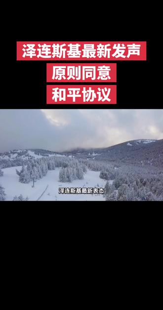 泽连斯基同意和平协议