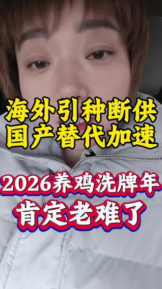 进口鸡苗退出,法国引种断了,国产种鸡替代是大趋势。但问题是,有些国产种源配套没跟上,抗病性是好,可碰上这种饲料,照样扛不住!好苗配烂料,等于白搭#白羽肉鸡价格 #笼养肉鸡 #辽宁养鸡
#畜牧养殖 #辽宁养鸡