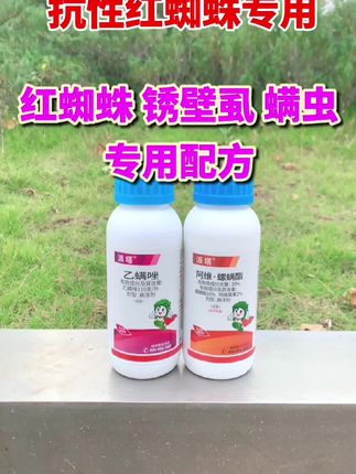 红蜘蛛螨虫打不住,就用这个配方,虫卵双除 #红蜘蛛#木虱#锈壁虱#叶螨