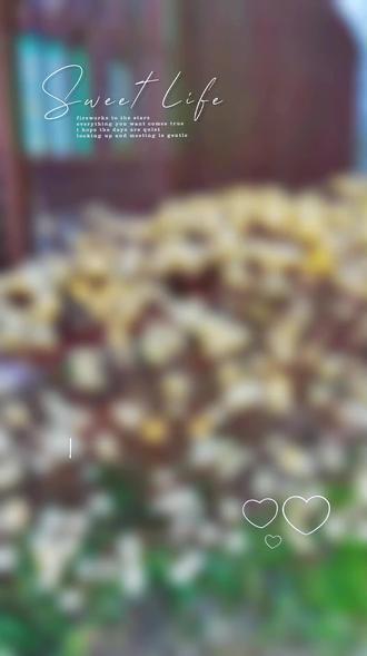 抖音玩法达人,合火计划