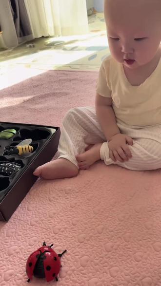 把昆虫世界带回家,每一只都活灵活现的,激发孩子的探索欲,快给宝贝安排上#昆虫模型#益智玩具#科学探索